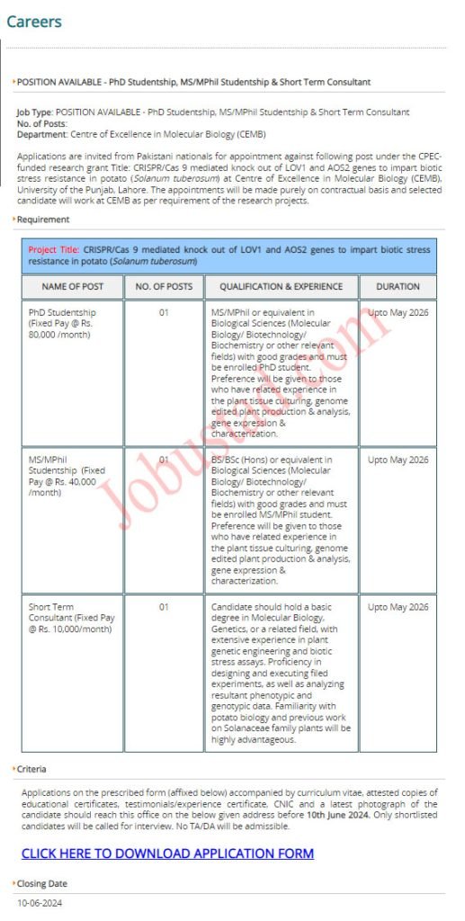 New Punjab University Jobs in lahore June 2024