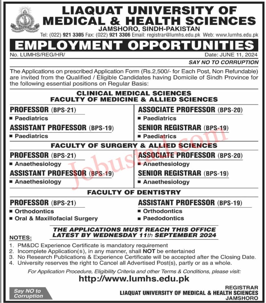 Latest Teaching Staff Jobs in Jamshoro June 2024 