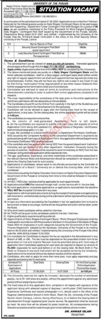 New Class 4 Jobs in University of Punjab July 2024