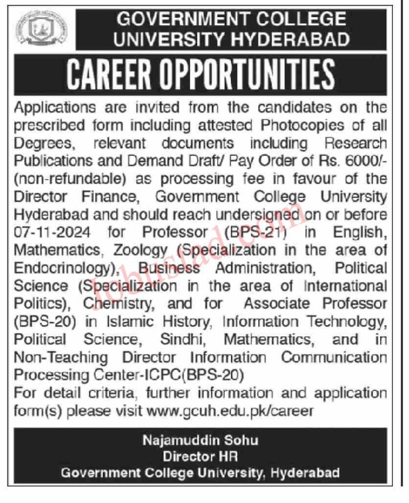 Govt College University Hyderabad Jobs October 2024