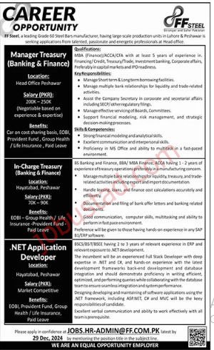FF Steel Mill Jobs in Peshawar December 2024 