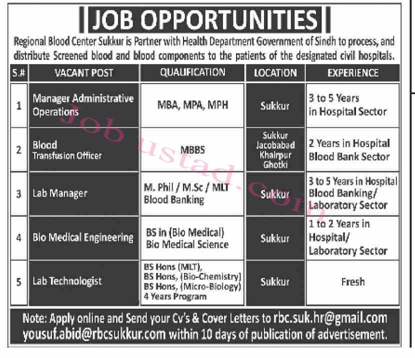 Jobs in Regional Blood Center Sukkur December 2024