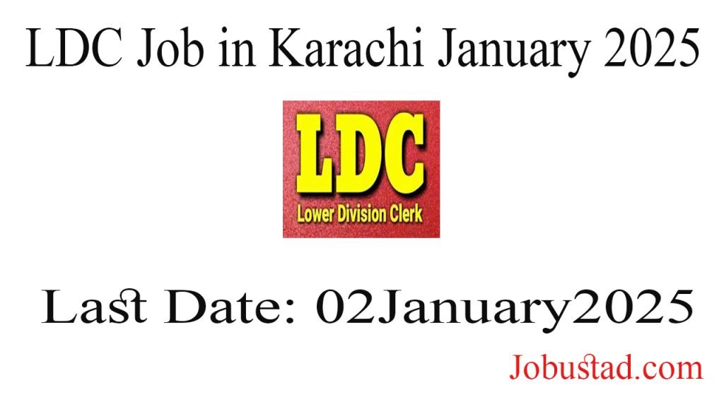 LDC Job in Karachi January 2025
