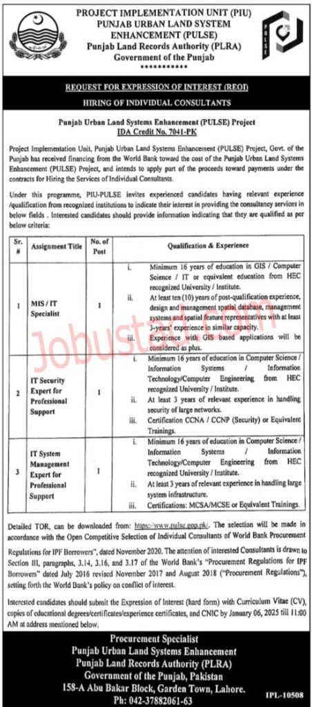 New IT Staff Jobs in Lahore December 2024