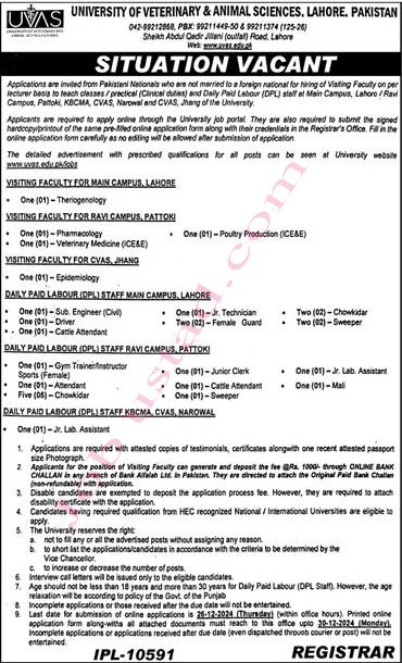 New Jobs in University of Veterinary & Animal Sciences Lahore December 2024