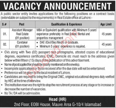 New Public Sector Organizational Jobs in Lahore 2024