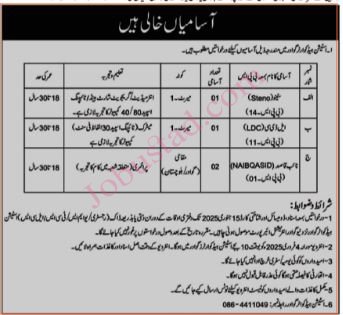 Stenographer Jobs In Gwadar December 2024