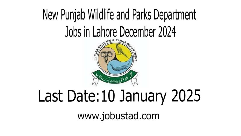 New Punjab Wildlife and Parks Department Jobs in Lahore December 2024