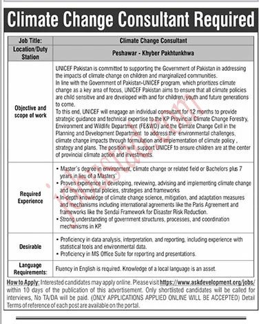 Latest Consultant Jobs in Peshawar January 2025