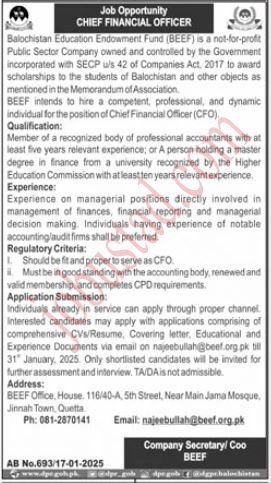 Latest Jobs in Balochistan Education Endowment Fund January 2025