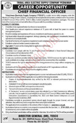 Tribal Areas Electricity Supply Company Jobs in peshawar January 2025 