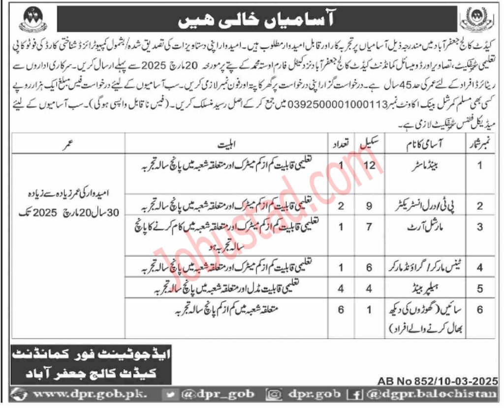 Cadet College Jobs in Jafrabad March 2025